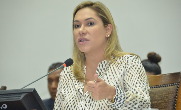 Deputada Luana Ribeiro pede isenção de taxas de água e energia elétrica para famílias de baixa renda