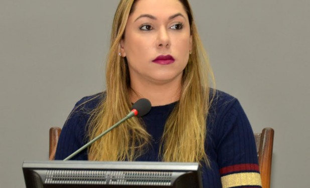PL de Luana propõe reserva de vagas em creches para filhos de mulheres vítimas de violência doméstica