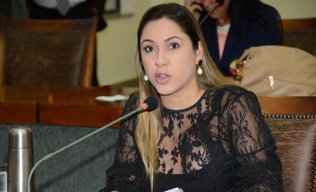 Luana apresenta 36 requerimentos para os municípios do Estado