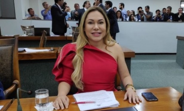 Atuante em prol do setor na Assembleia, Luana Ribeiro comemora MP do fundo e conselho de segurança pública no Tocantins