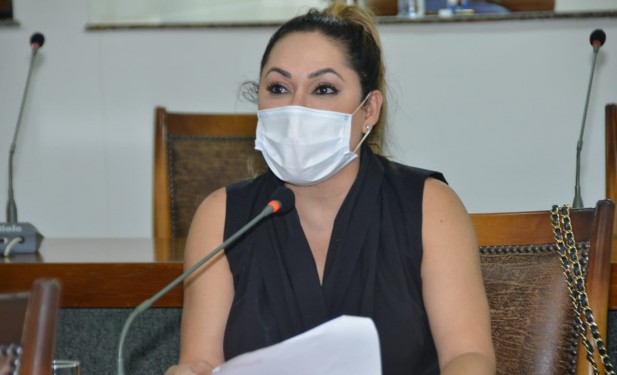Deputada estadual Luana Ribeiro defende regularização do trabalho home office no Tocantins