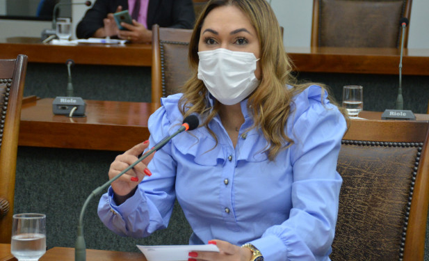 Requerimentos de Luana Ribeiro solicitam recuperação de rodovias no Estado