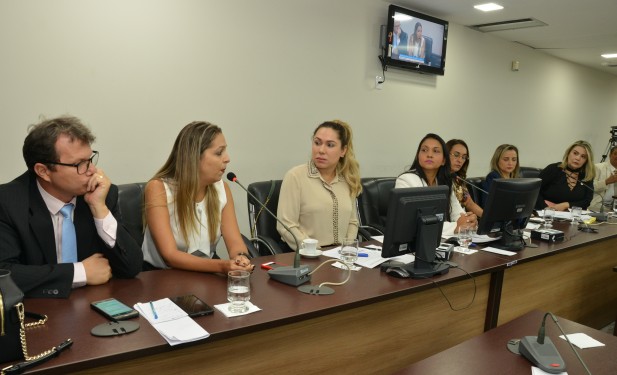 Em Audiência, Luana destaca importância de delegacia da mulher 24h e pede que governo nomeie concursados